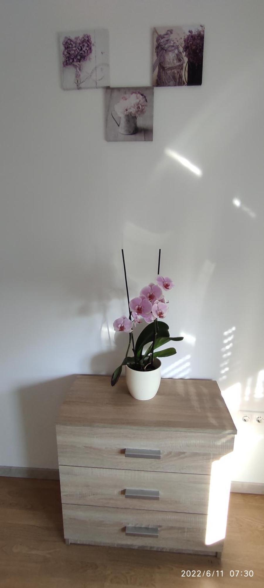 Apartment Zelena Oaza Sisan 75 M2 - 2 Bedrooms ภายนอก รูปภาพ